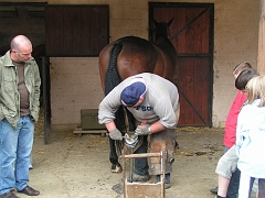 PO 2008 (24)